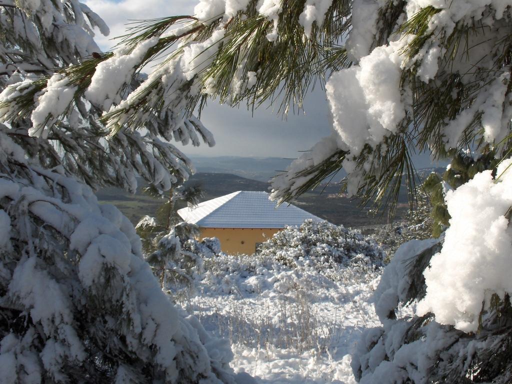 First Light Cabins Amirim Exterior foto